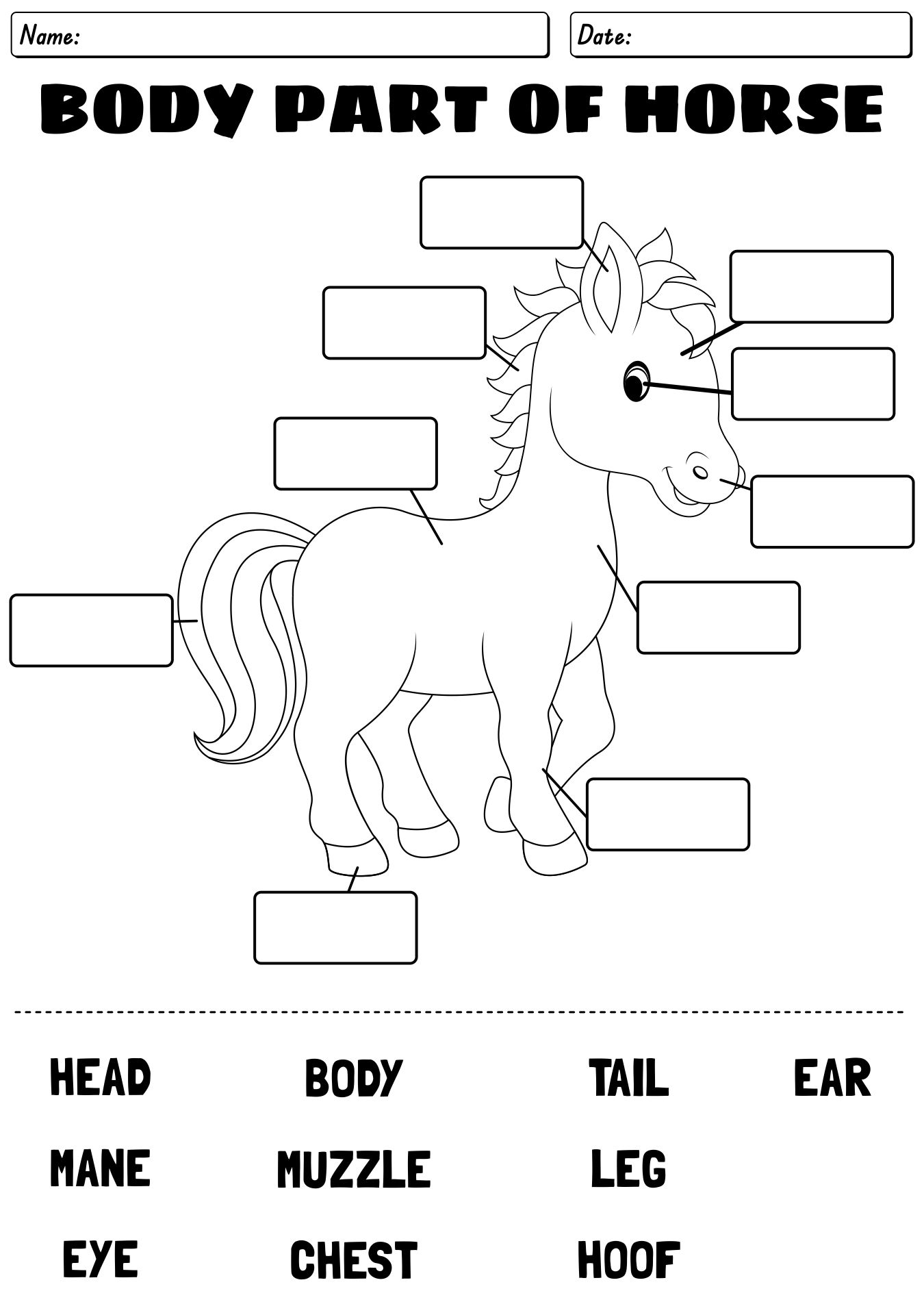 13 Points Of The Horse Worksheet Free PDF At Worksheeto