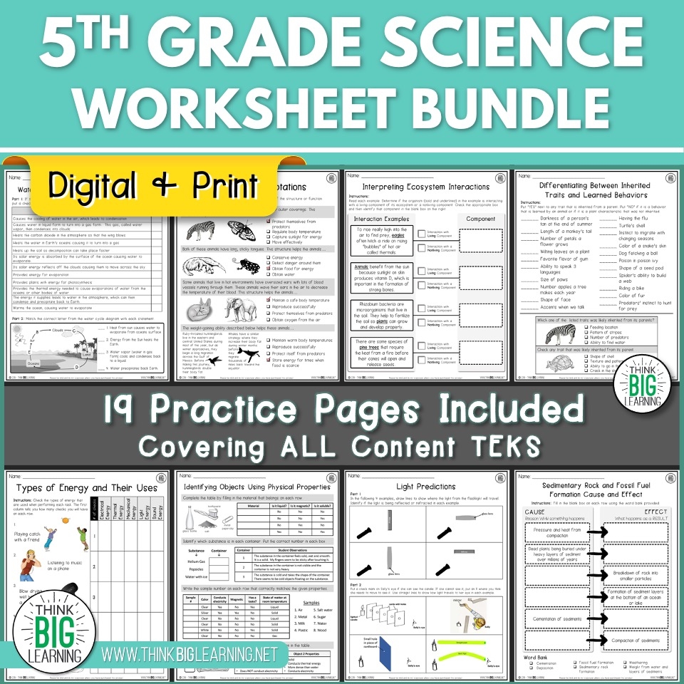science worksheet for 5th grade printable