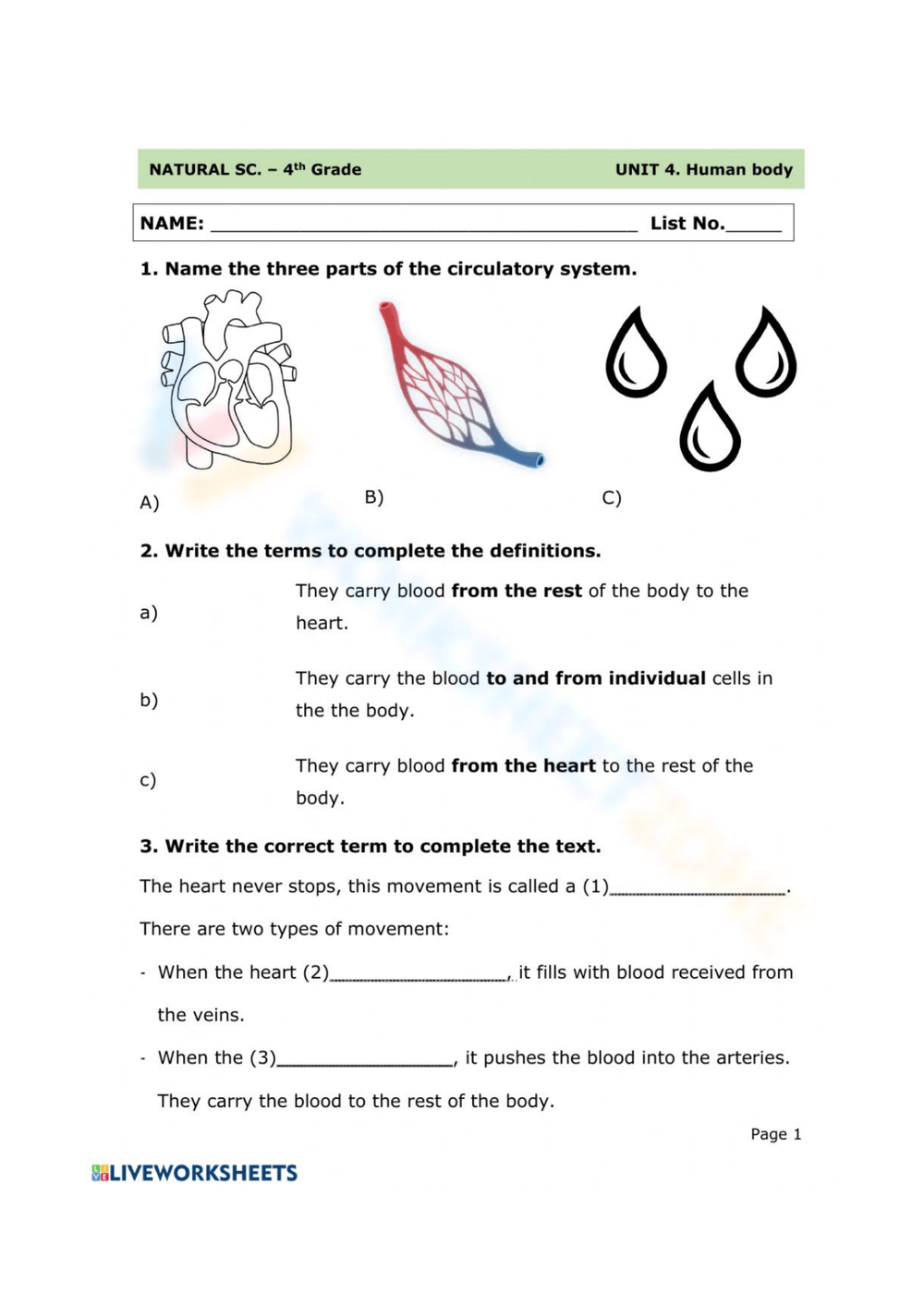 Circulatory System Worksheets