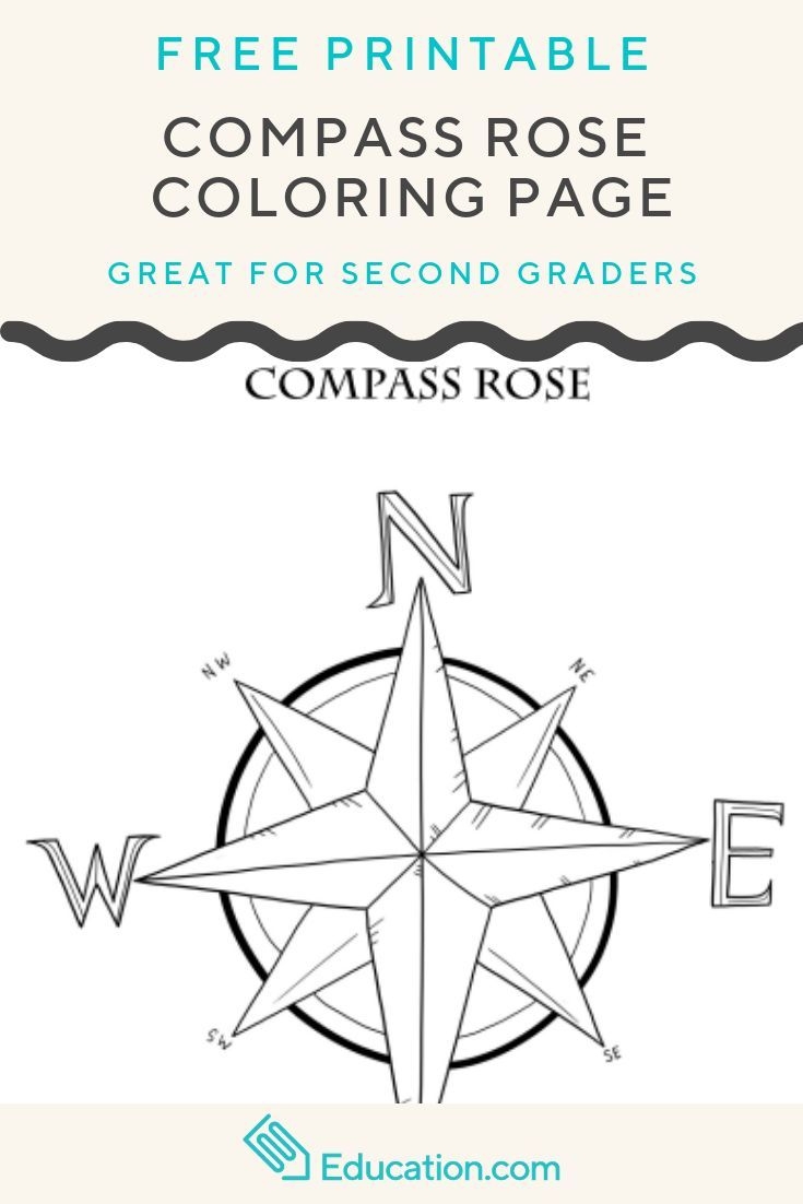 Compass Rose Worksheet Education