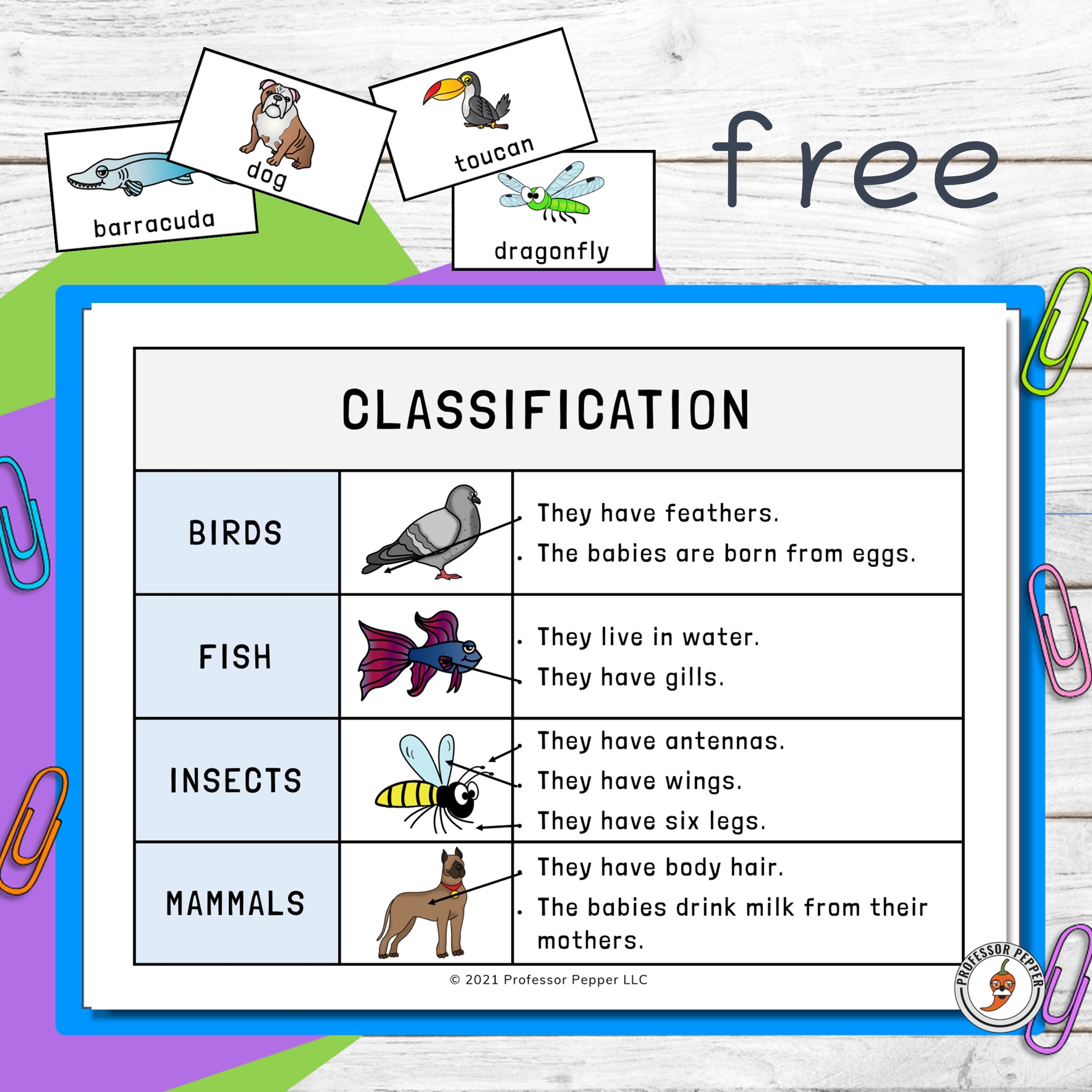 free printable animal classification worksheets