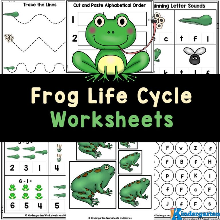  FREE Printable Frog Life Cycle Worksheets