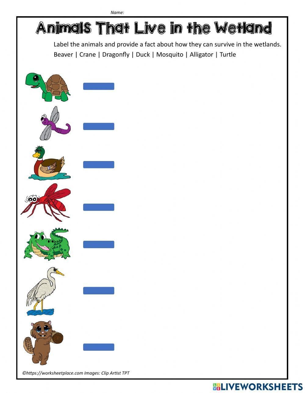 Free Wetland Worksheet Download Free Wetland Worksheet Png Images Free Worksheets On Clipart Library