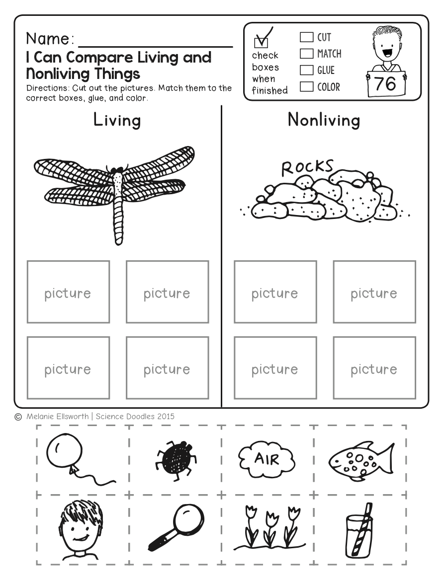 printable science worksheets for first graders