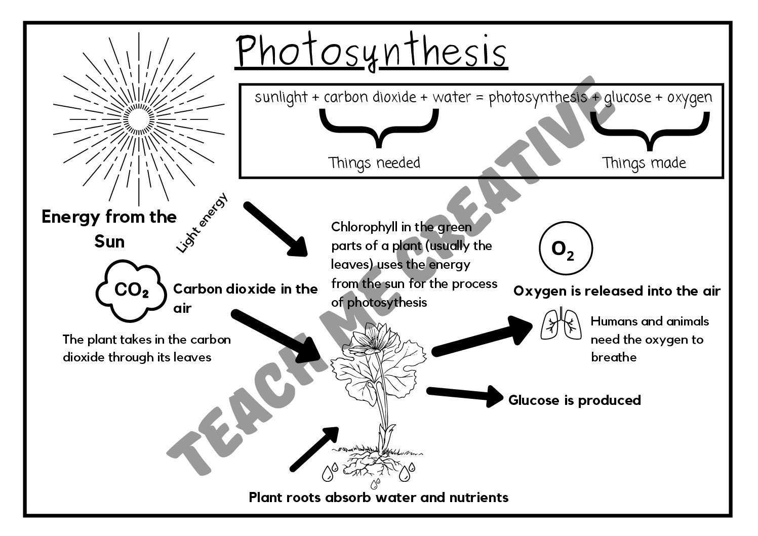 6th grade science printable worksheets