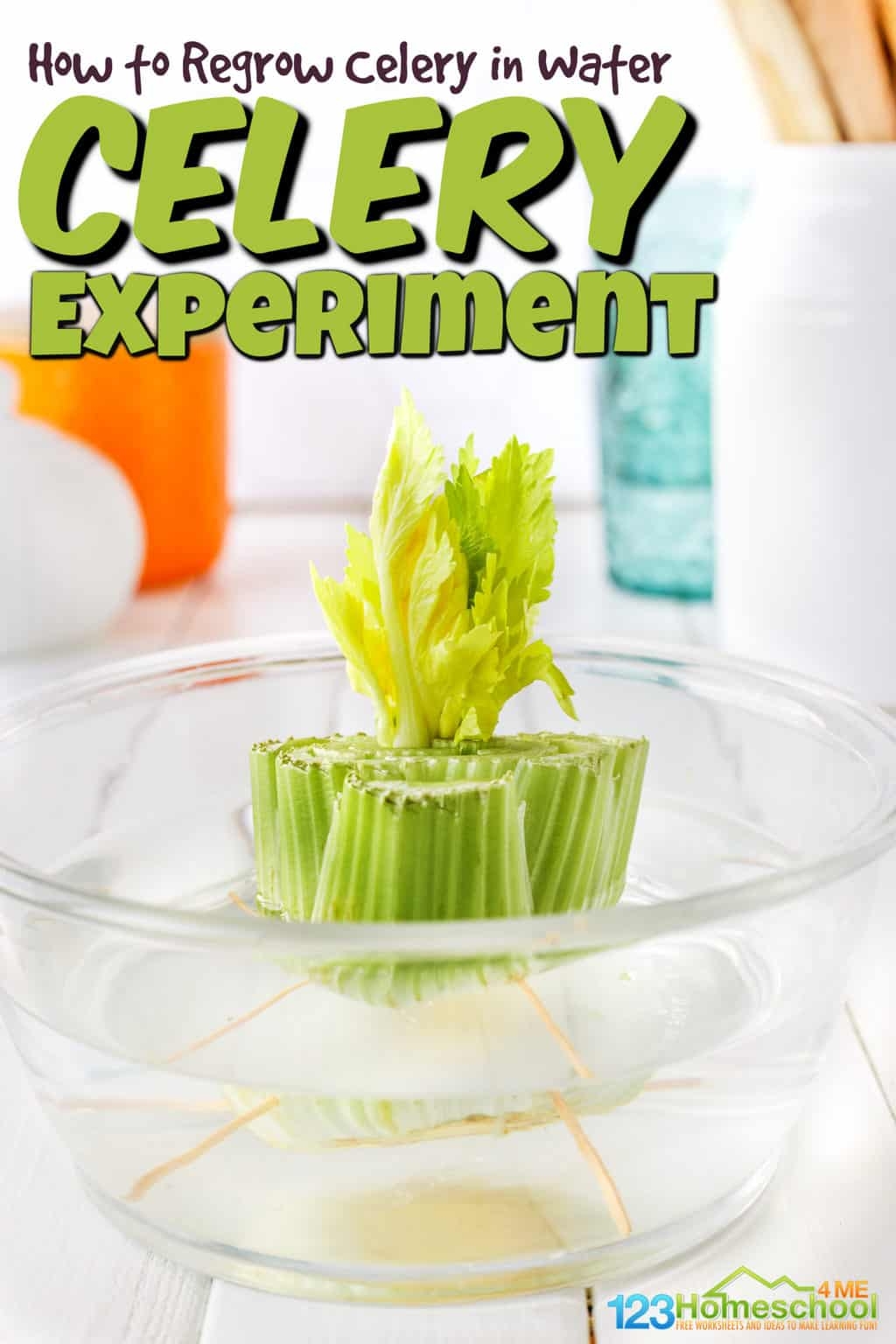 How To Grow Celery In Water Experiment