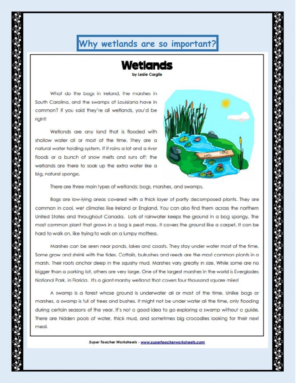 Importance Of Wetlands Worksheet Live Worksheets Worksheets Library