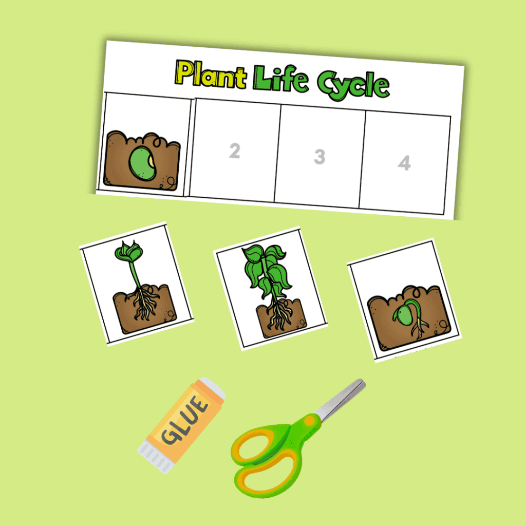 free plant life cycle worksheet printables
