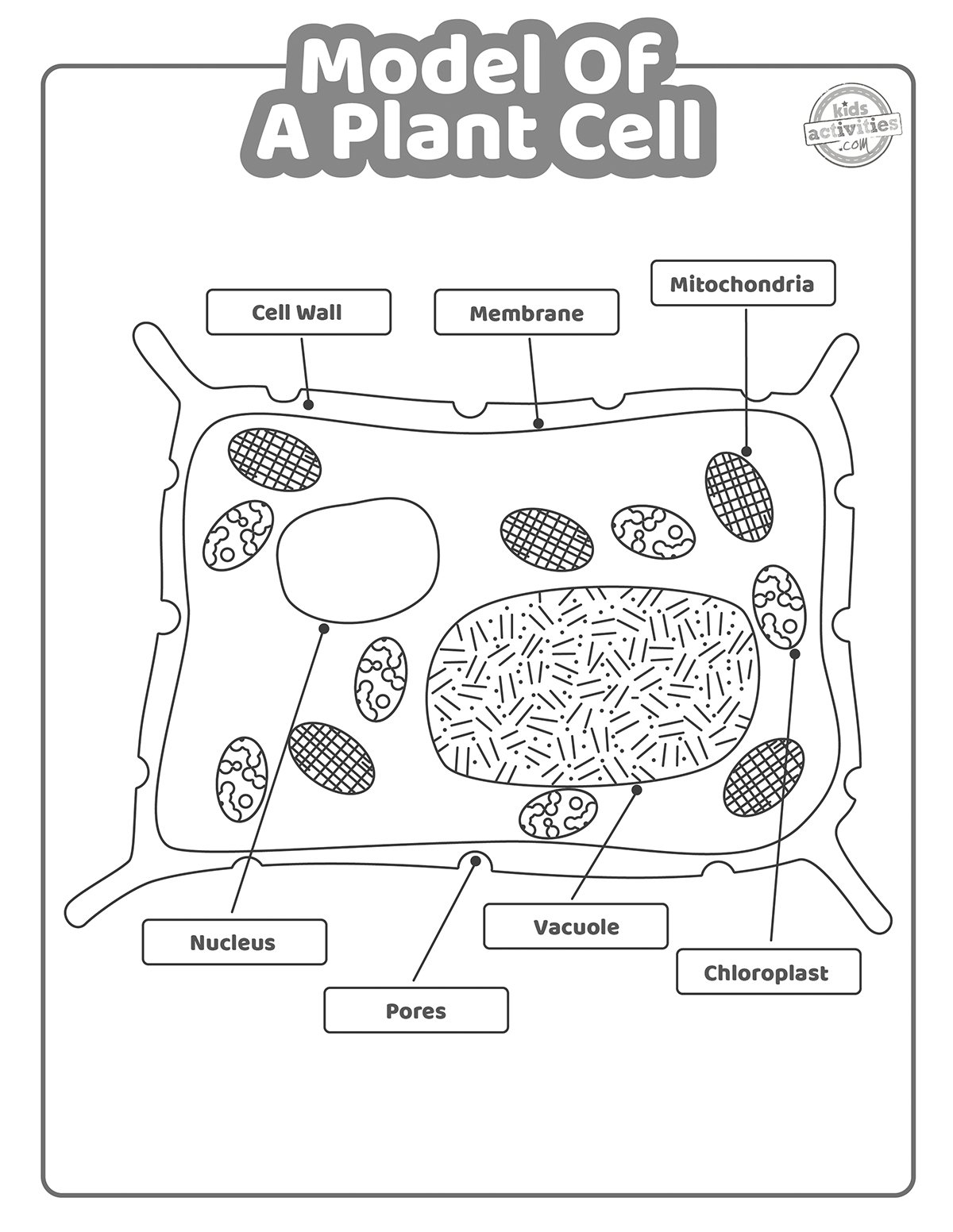 Model Of A Plant Cell Worksheet Coloring Pages Kids Activities Blog