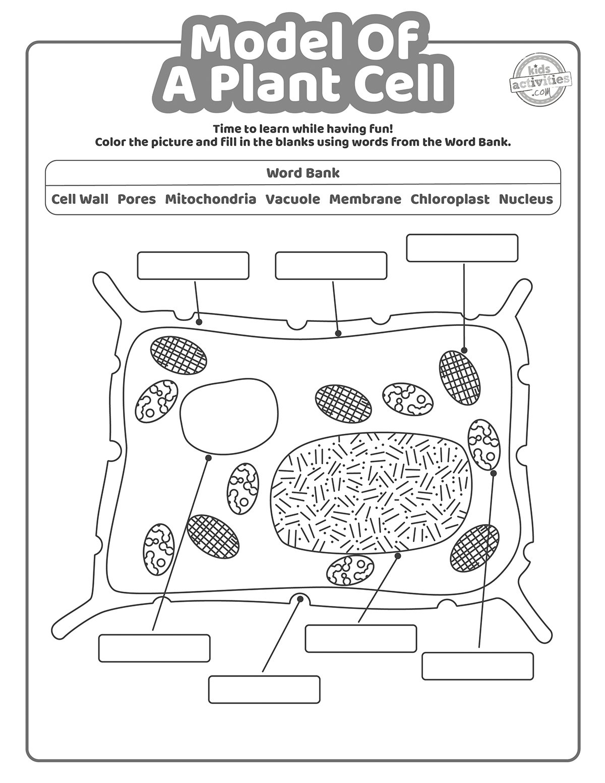 plants and animal cells worksheets printables