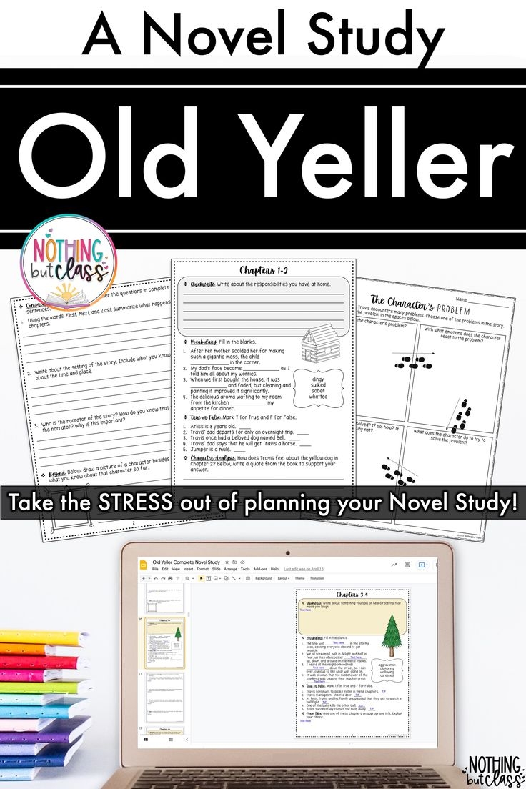 Old Yeller Novel Study