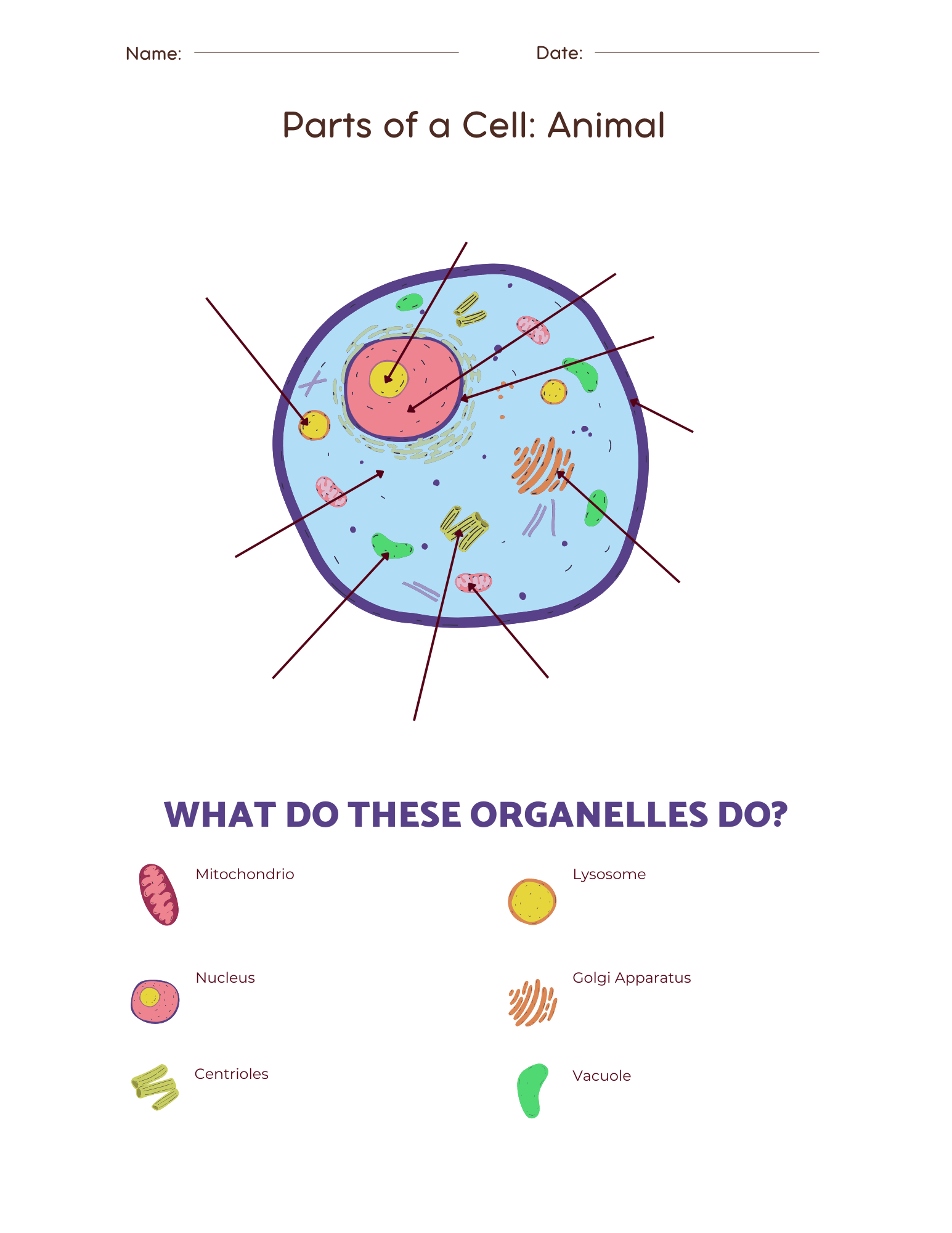 free printable cell worksheet