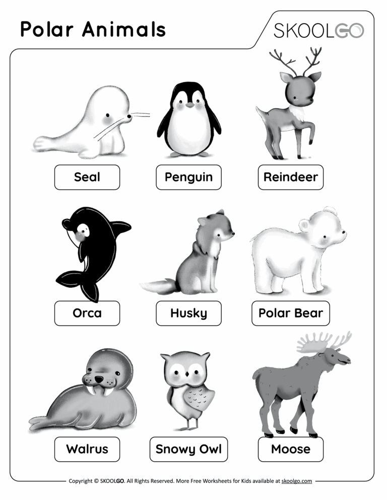 Polar Animals Free Worksheet SKOOLGO