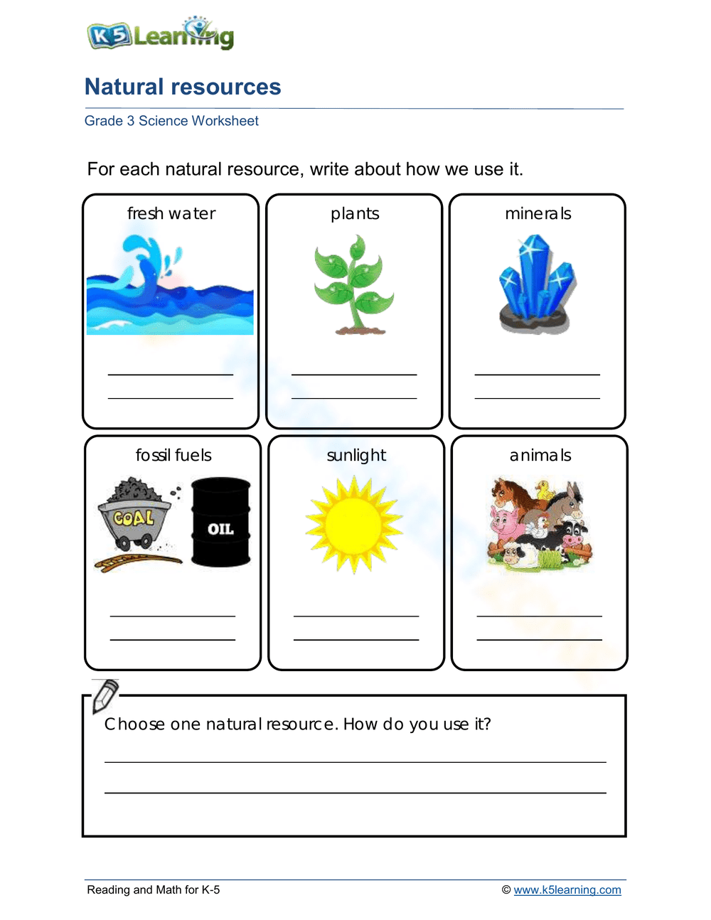 Printable Grade 3 Environment Worksheets