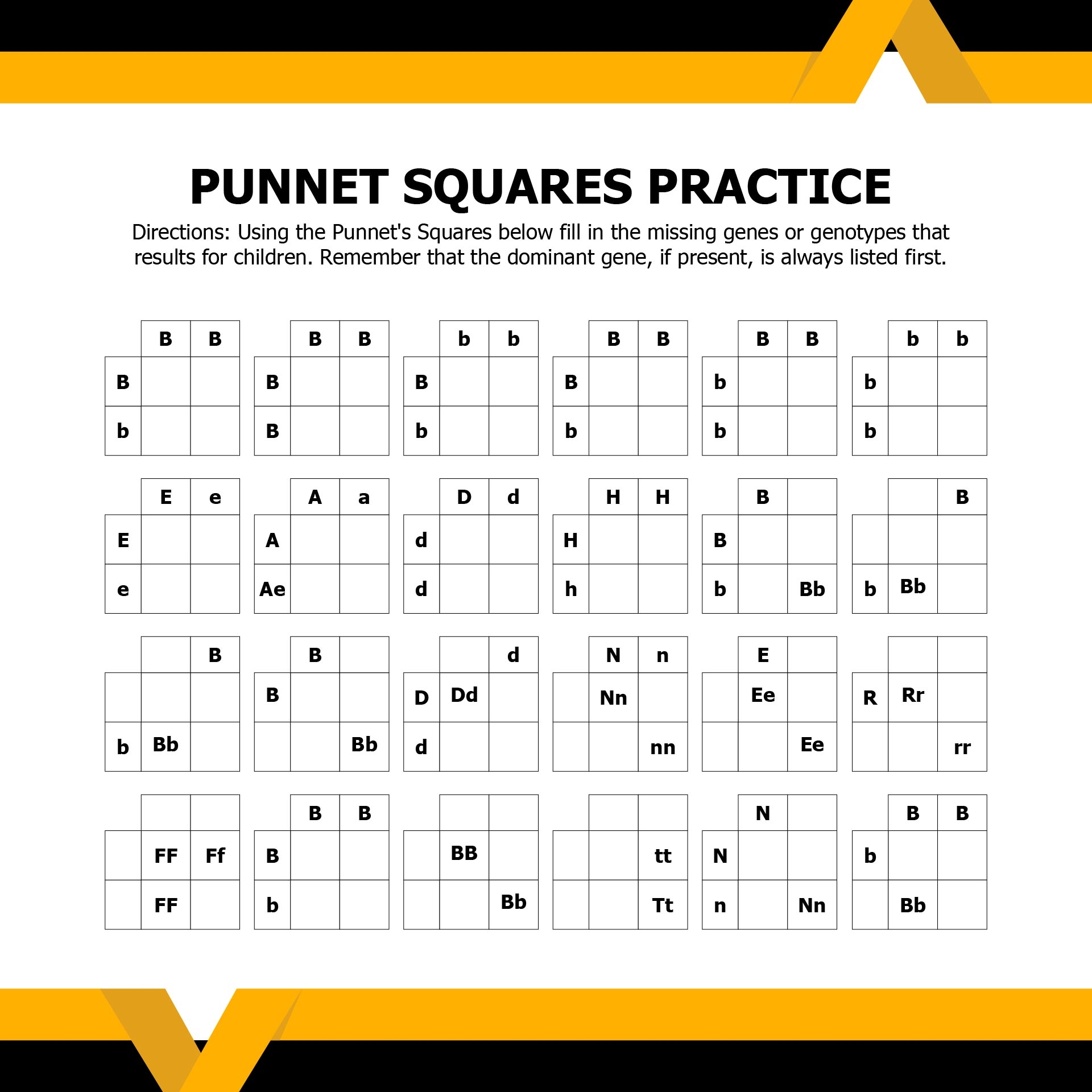 free printable punnett square worksheet