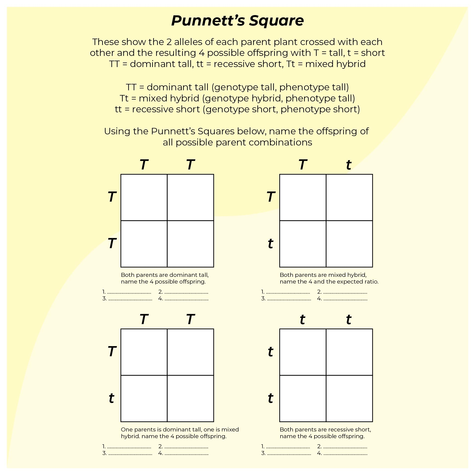 Punnett Square Worksheets 10 Free PDF Printables Printablee Worksheets Library