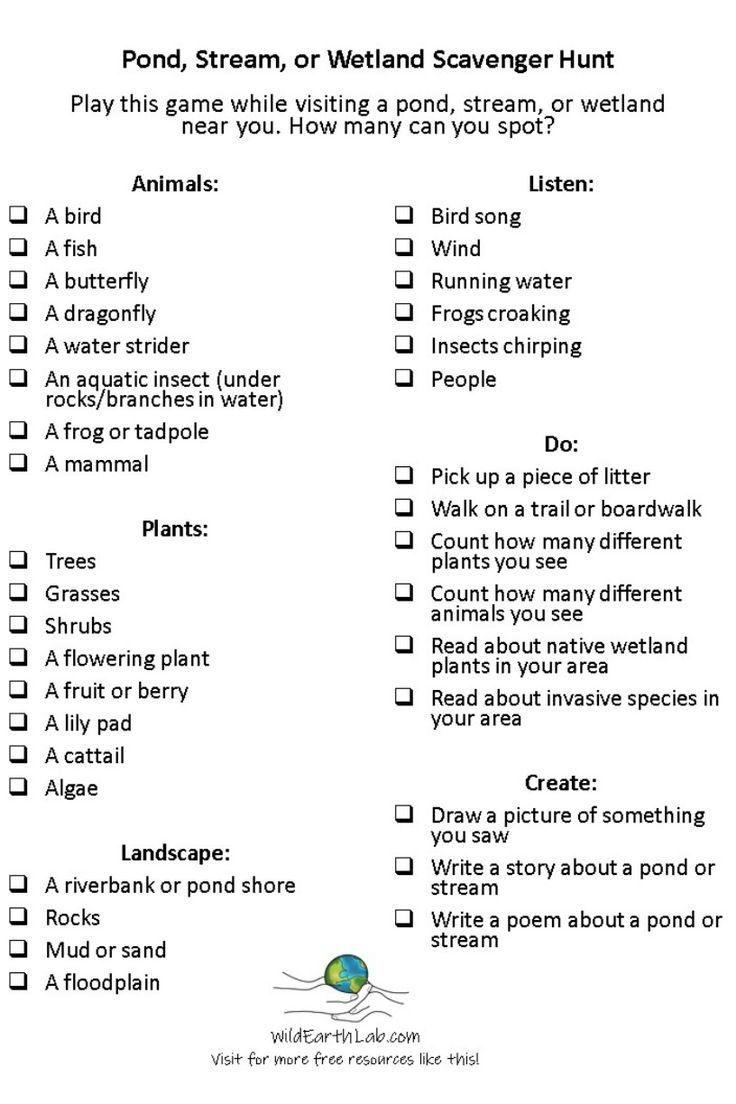 Scavenger Hunt Activity Free Download Pond Stream And Wetland Edition 