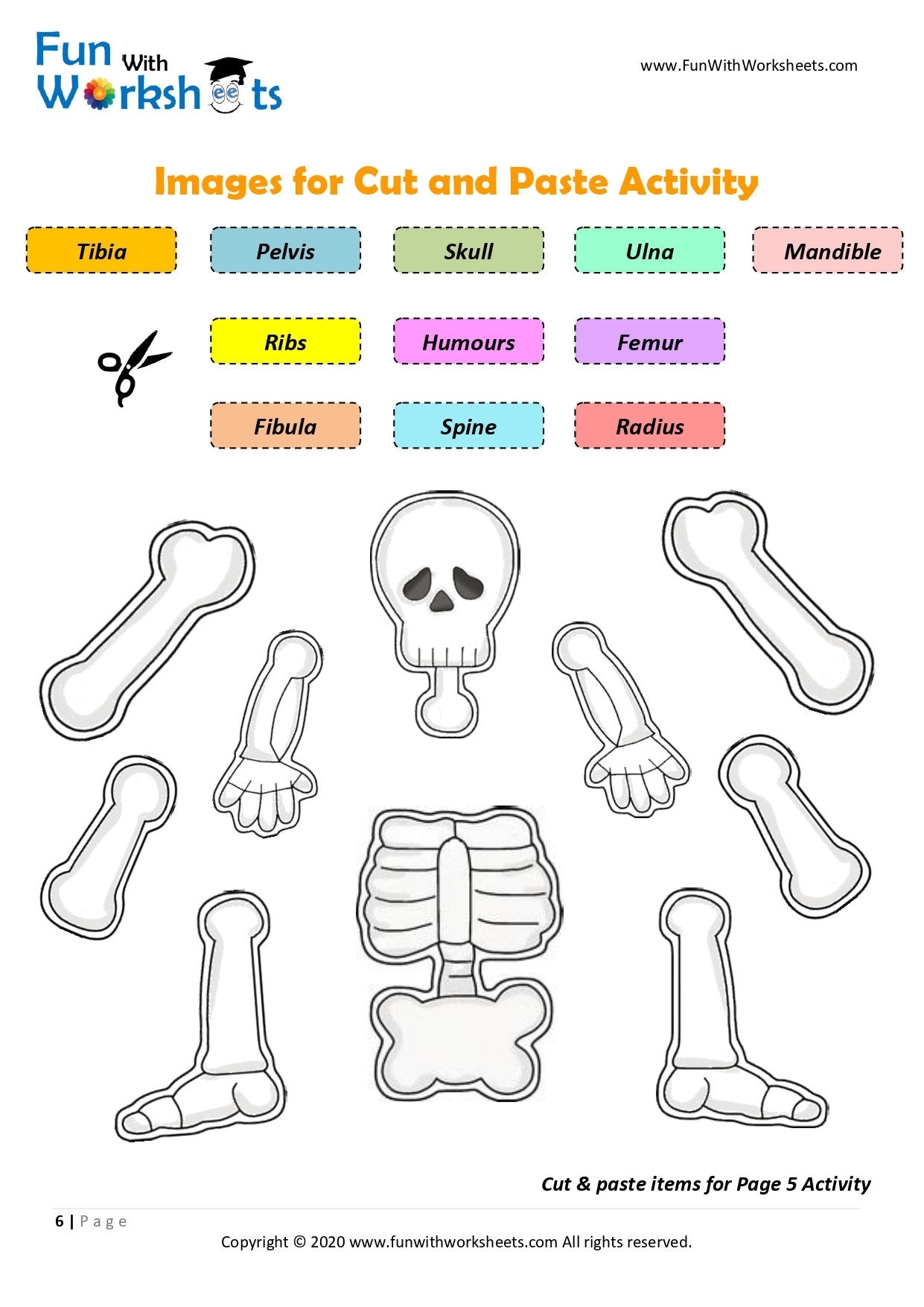 Skeleton Anatomy Activity Printable Human Bones Lesson Moving Skeleton Craft Anatomy Game Homeschool Printable Human Science Study Etsy