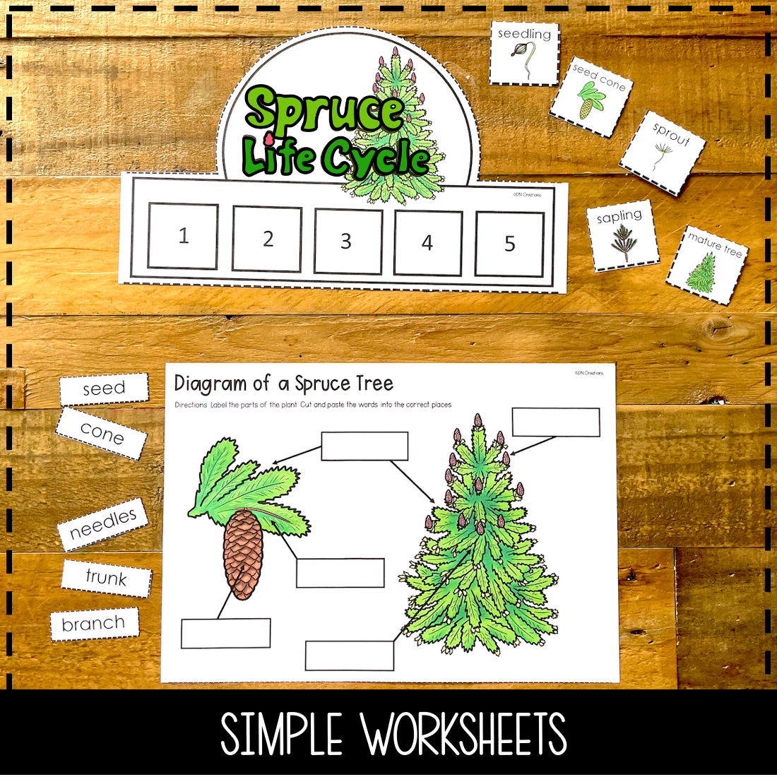 Spruce Tree Life Cycle Christmas Tree Lifecycle Christmas STEM Activity Made By Teachers