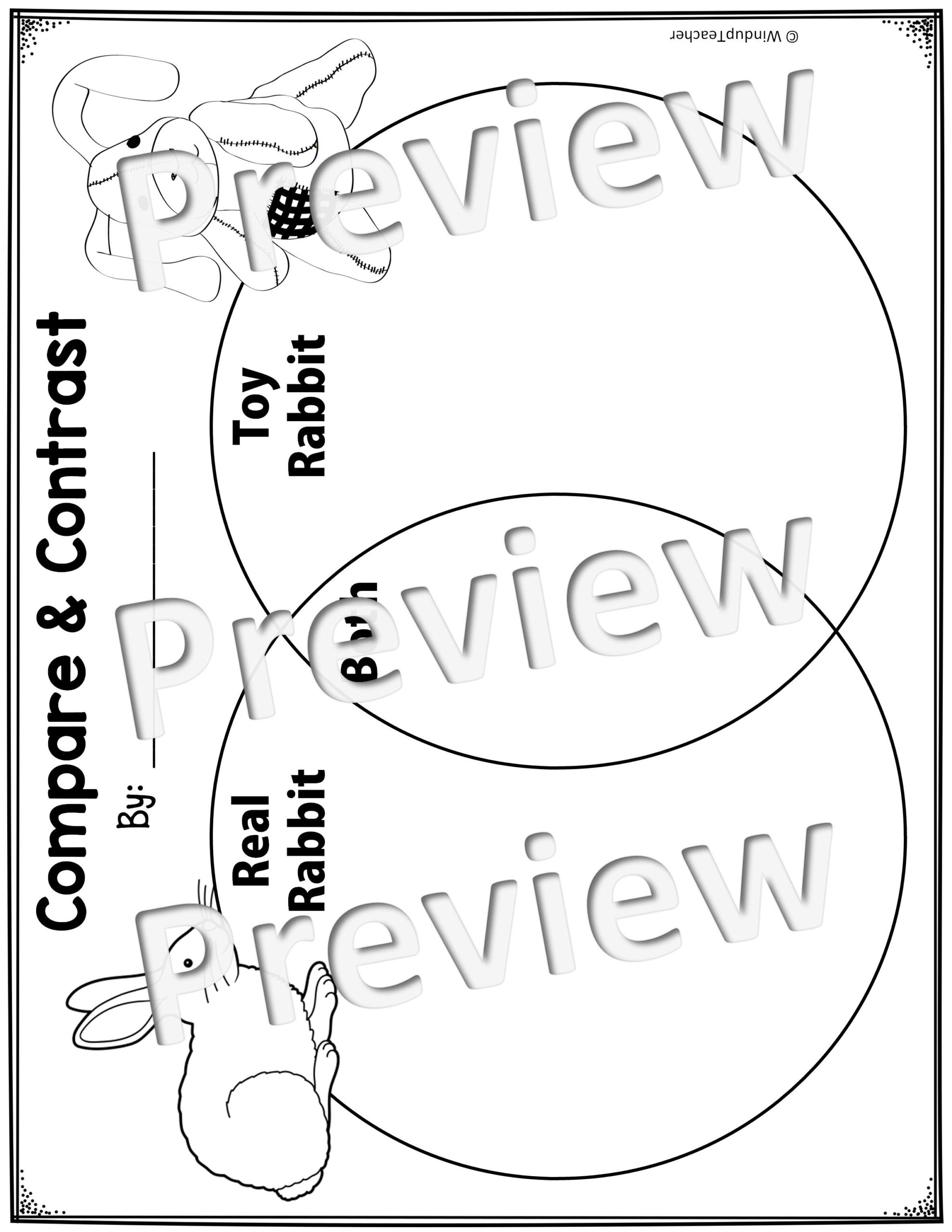 The Velveteen Rabbit Activity Sheets Made By Teachers
