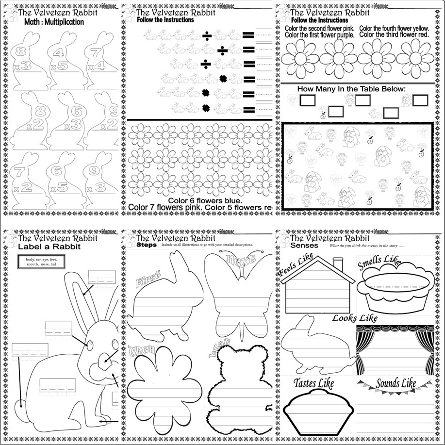 The Velveteen Rabbit Read Aloud Book Companion Reading Comprehension Worksheets Classful