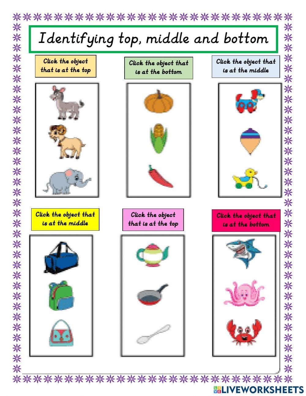 Top Middle Bottom Activity Live Worksheets Worksheets Library