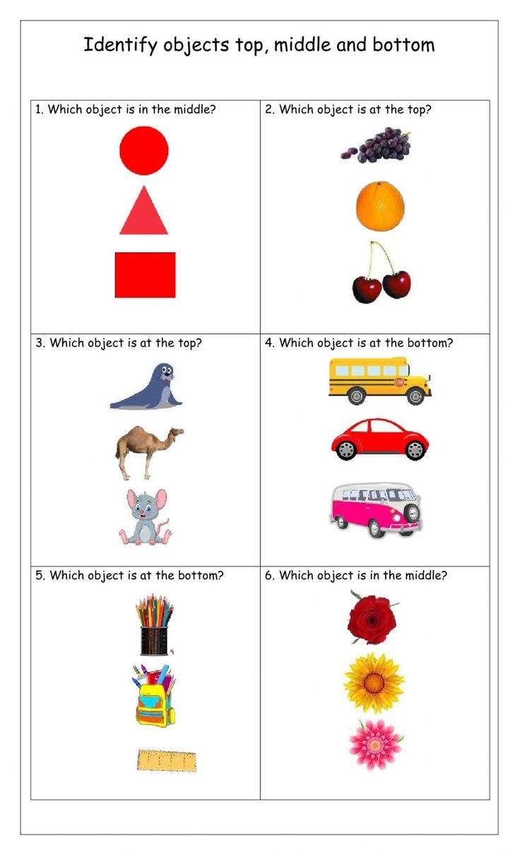 TOP MIDDLE BOTTOM Worksheet