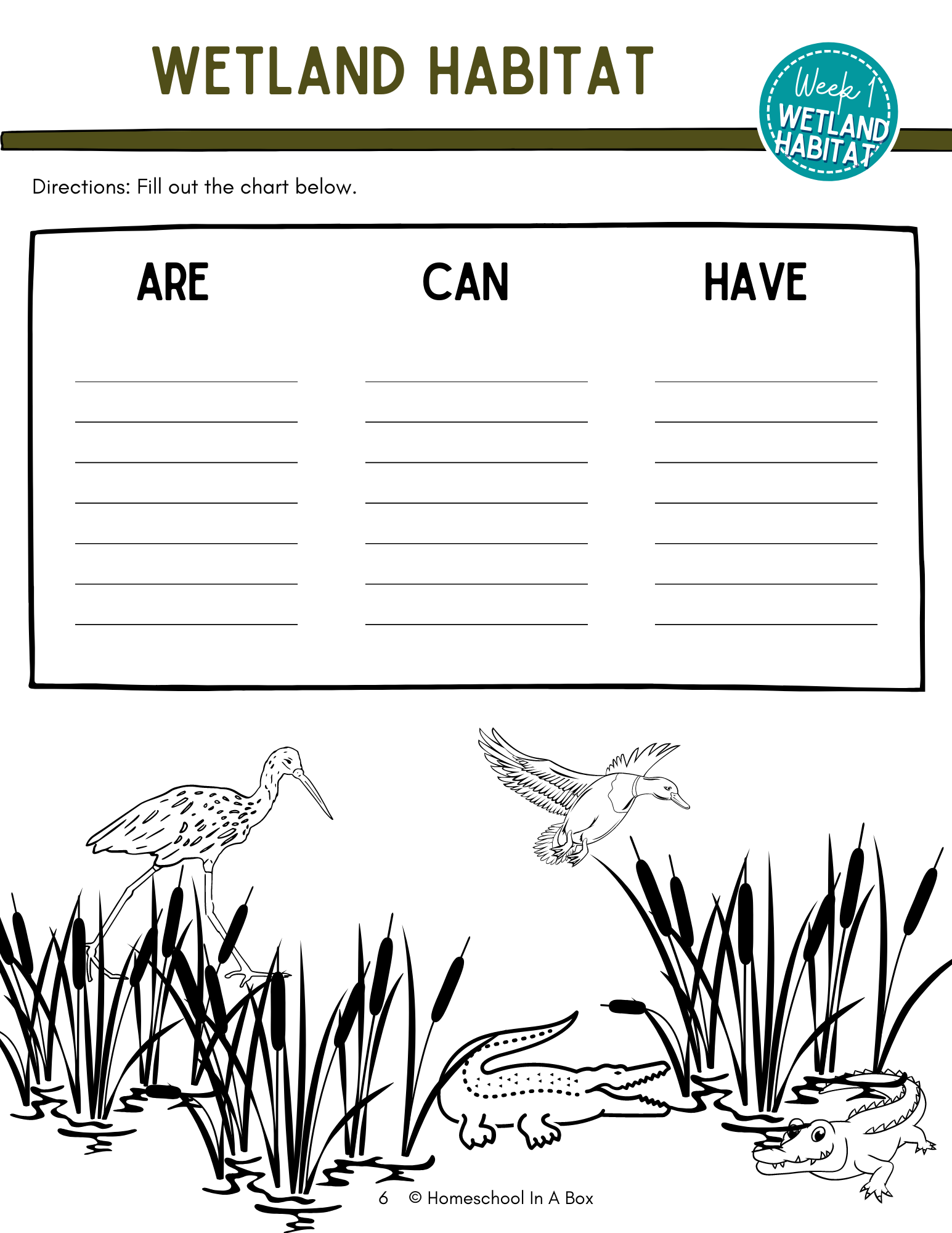 printable worksheets on wetlands