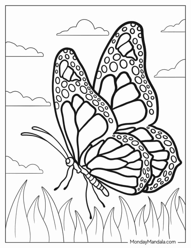 62 Butterfly Coloring Pages Free PDF Printables 