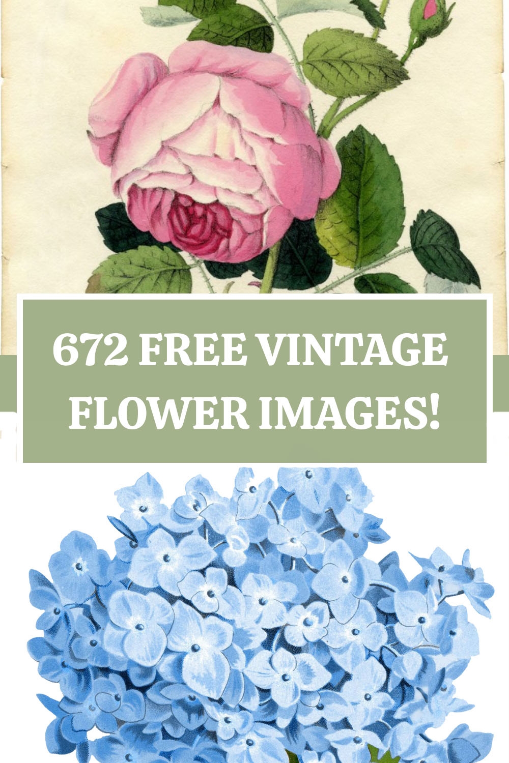 free printable flowers