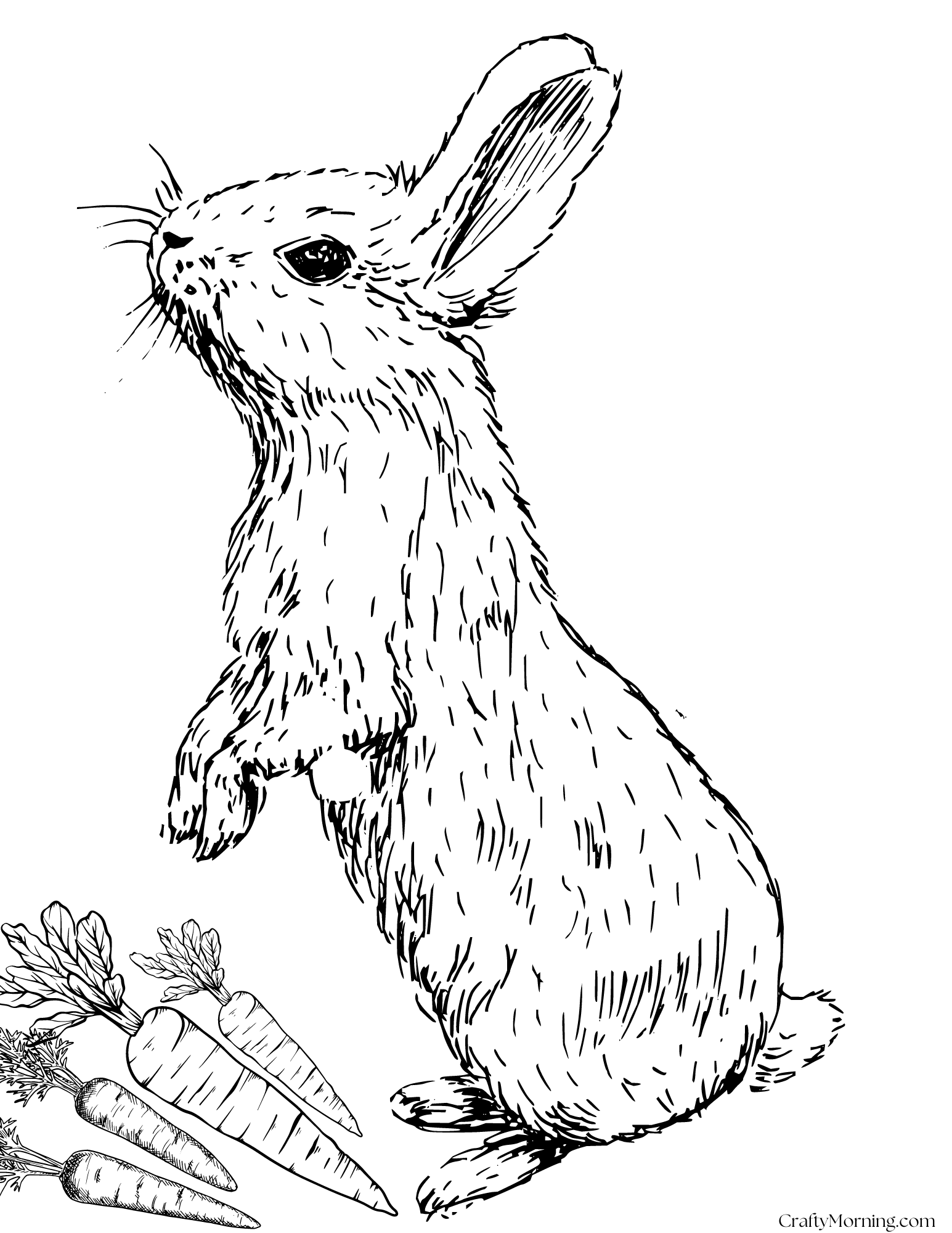 rabbit coloring pages printable