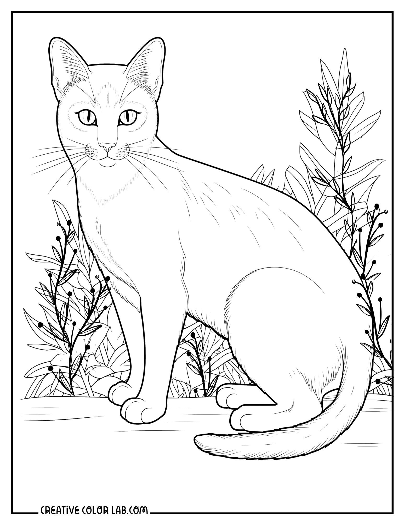 cat coloring pages free printable