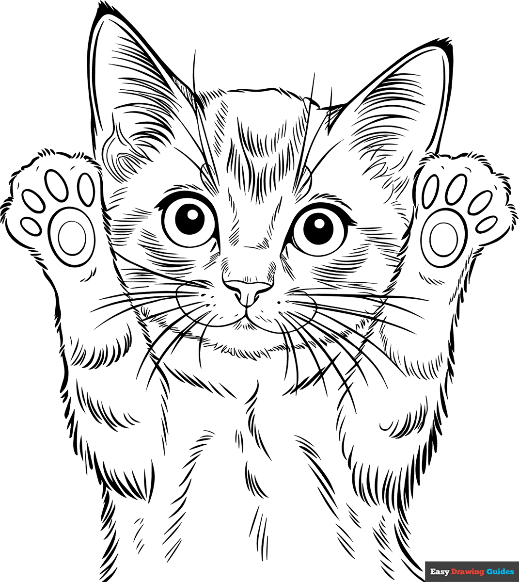 kitten coloring pages printable