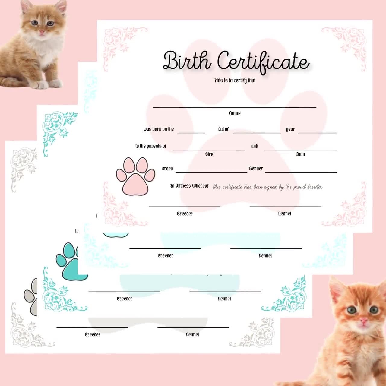 Kitty Birth Certificate Pet Birth Certificate For Kittens Editable PDF COO1 Etsy
